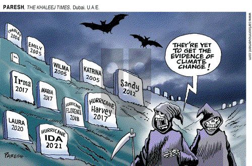 ViewsBusiness on Saturday November 9, 2024 Comic Strip