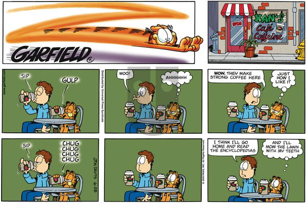 Garfield on Sunday June 28, 2009 Comic Strip