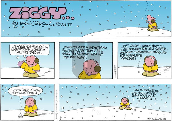 Ziggy on Sunday January 2, 2000 Comic Strip