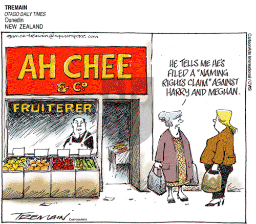 ViewsAsia on Monday May 13, 2019 Comic Strip