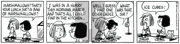 Peanuts on Monday May 26, 1980 Comic Strip