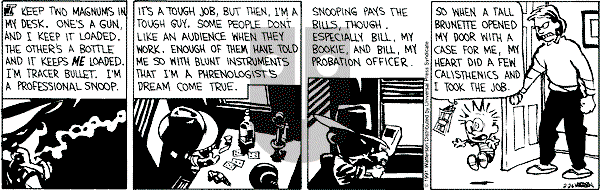 Calvin and Hobbes - Tuesday February 26, 1991 Comic Strip
