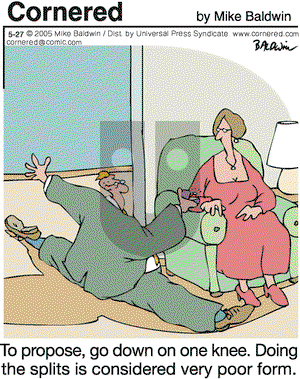 Cornered on Friday May 27, 2005 Comic Strip