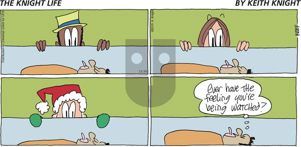 The Knight Life on Sunday November 30, 2014 Comic Strip