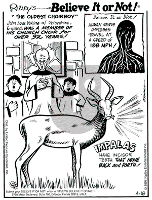 Ripley's Believe It or Not on Friday April 18, 1997 Comic Strip