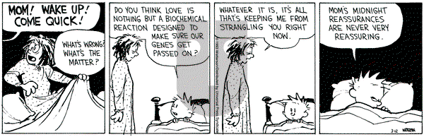 Calvin and Hobbes on Friday March 12, 1993 Comic Strip