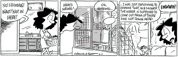 Baby Blues on Wednesday August 5, 1998 Comic Strip