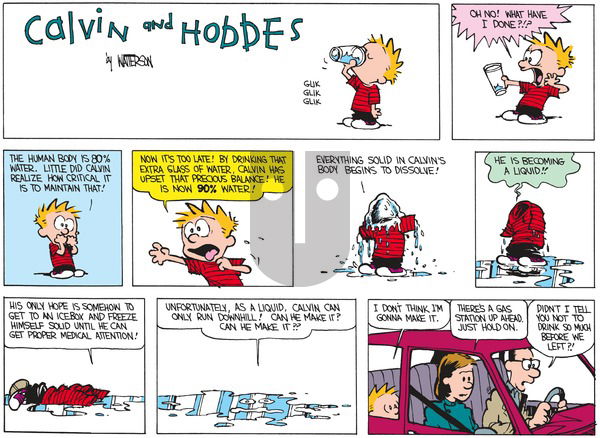 Calvin and Hobbes on Sunday March 1, 1987 Comic Strip