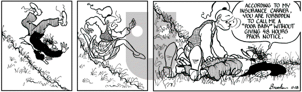 9 Chickweed Lane on Thursday November 18, 1993 Comic Strip