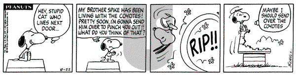 Peanuts on Friday August 22, 1975 Comic Strip