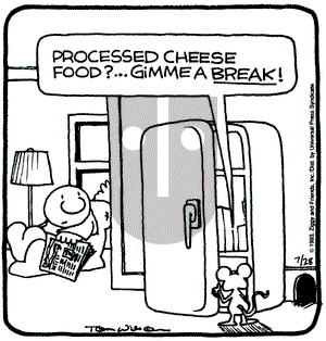 Ziggy on Wednesday July 28, 1993 Comic Strip