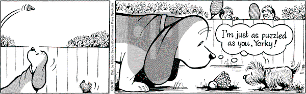 Fred Basset on Tuesday September 2, 2008 Comic Strip