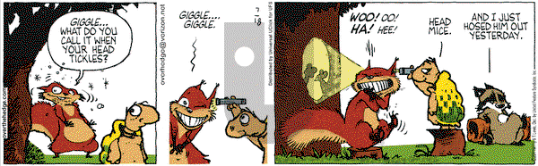 Over the Hedge on Monday July 18, 2011 Comic Strip