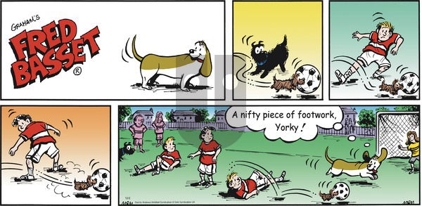 Fred Basset on Sunday December 2, 2018 Comic Strip