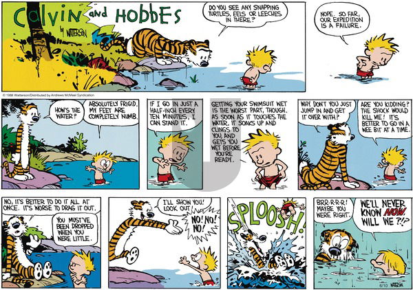 Calvin and Hobbes - Sunday June 10, 2018 Comic Strip