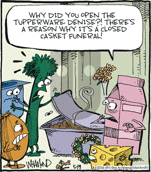 Reality Check on Thursday May 19, 2016 Comic Strip