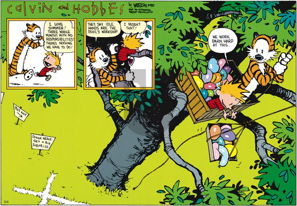 Calvin and Hobbes on Sunday June 20, 1993 Comic Strip