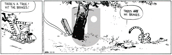 Calvin and Hobbes on Friday December 19, 2025 Comic Strip