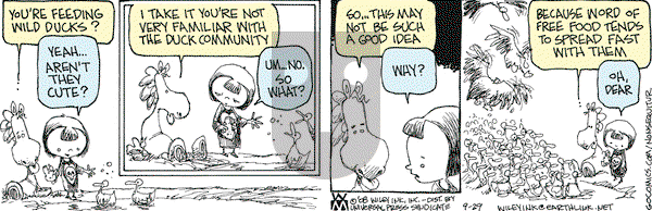 Non Sequitur on Monday September 29, 2008 Comic Strip