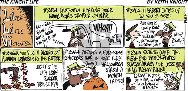 The Knight Life on Sunday December 11, 2016 Comic Strip