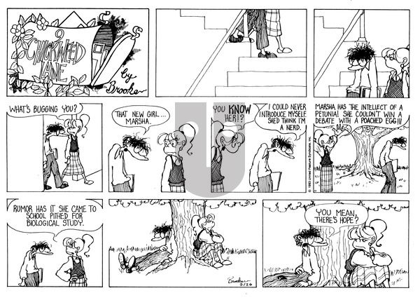 9 Chickweed Lane on Sunday September 26, 1993 Comic Strip