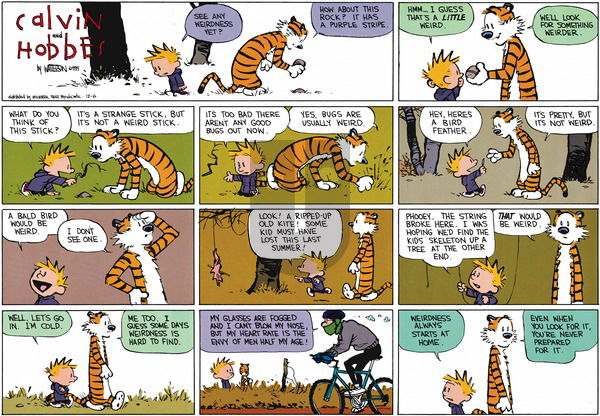 Calvin and Hobbes on Sunday December 6, 2015 Comic Strip