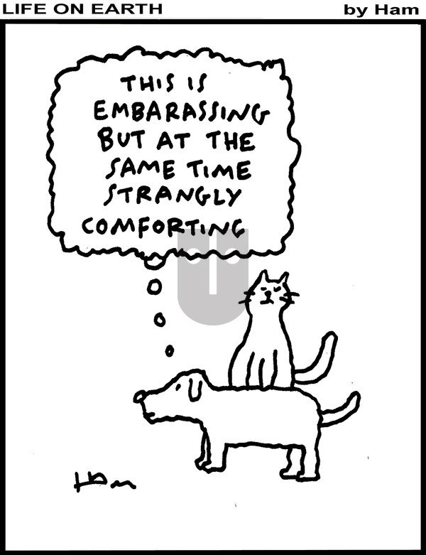 Life on Earth on Thursday May 29, 2025 Comic Strip