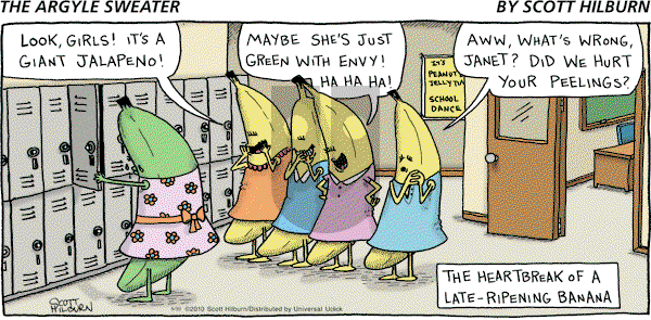 The Argyle Sweater on Sunday May 30, 2010 Comic Strip