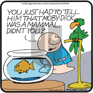 Ziggy on Tuesday October 11, 2005 Comic Strip
