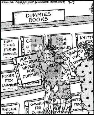 Close to Home on Saturday July 7, 2007 Comic Strip