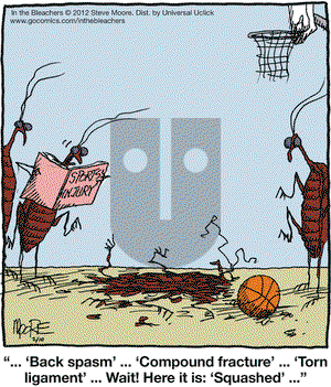 In the Bleachers on Friday February 10, 2012 Comic Strip