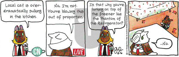 Breaking Cat News on Friday December 6, 2019 Comic Strip