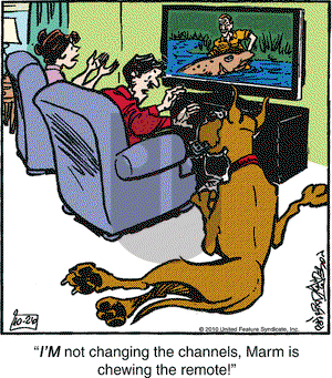 Marmaduke on Tuesday October 26, 2010 Comic Strip