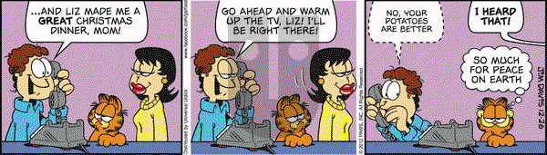 Garfield on Wednesday December 26, 2012 Comic Strip