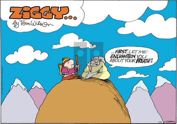 Ziggy on Sunday January 24, 2010 Comic Strip