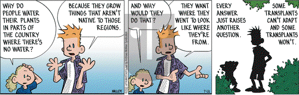 Frazz - Tuesday July 12, 2022 Comic Strip