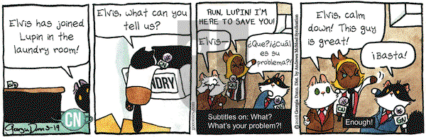 Breaking Cat News on Monday March 19, 2018 Comic Strip