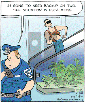 Brevity on Monday June 25, 2012 Comic Strip