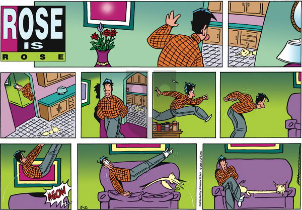 Rose is Rose on Sunday March 2, 2014 Comic Strip