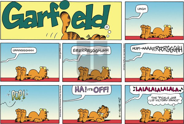 Garfield on Sunday January 16, 2005 Comic Strip