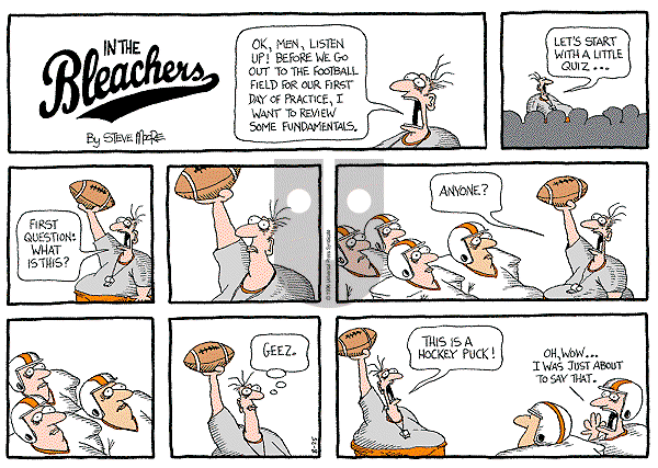 In the Bleachers on Sunday November 3, 1996 Comic Strip
