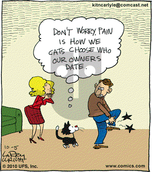 Kit 'N' Carlyle on Tuesday October 5, 2010 Comic Strip