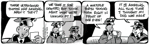 JumpStart on Wednesday February 16, 2005 Comic Strip