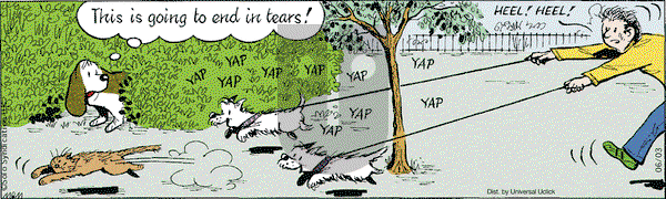 Fred Basset on Wednesday June 3, 2015 Comic Strip