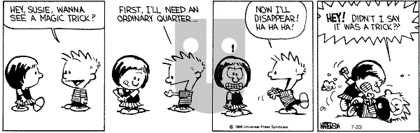 Calvin and Hobbes - Tuesday July 23, 1991 Comic Strip
