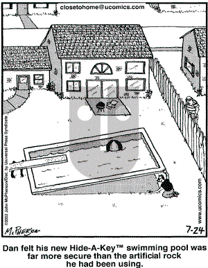 Close to Home - Wednesday July 24, 2002 Comic Strip