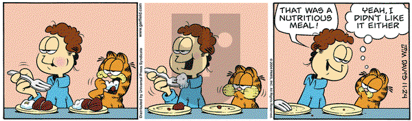 Garfield on Wednesday November 24, 2004 Comic Strip