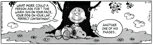 Peanuts on Monday April 17, 1989 Comic Strip
