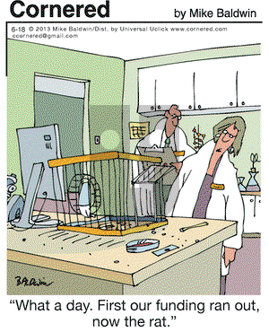 Cornered on Tuesday June 18, 2013 Comic Strip