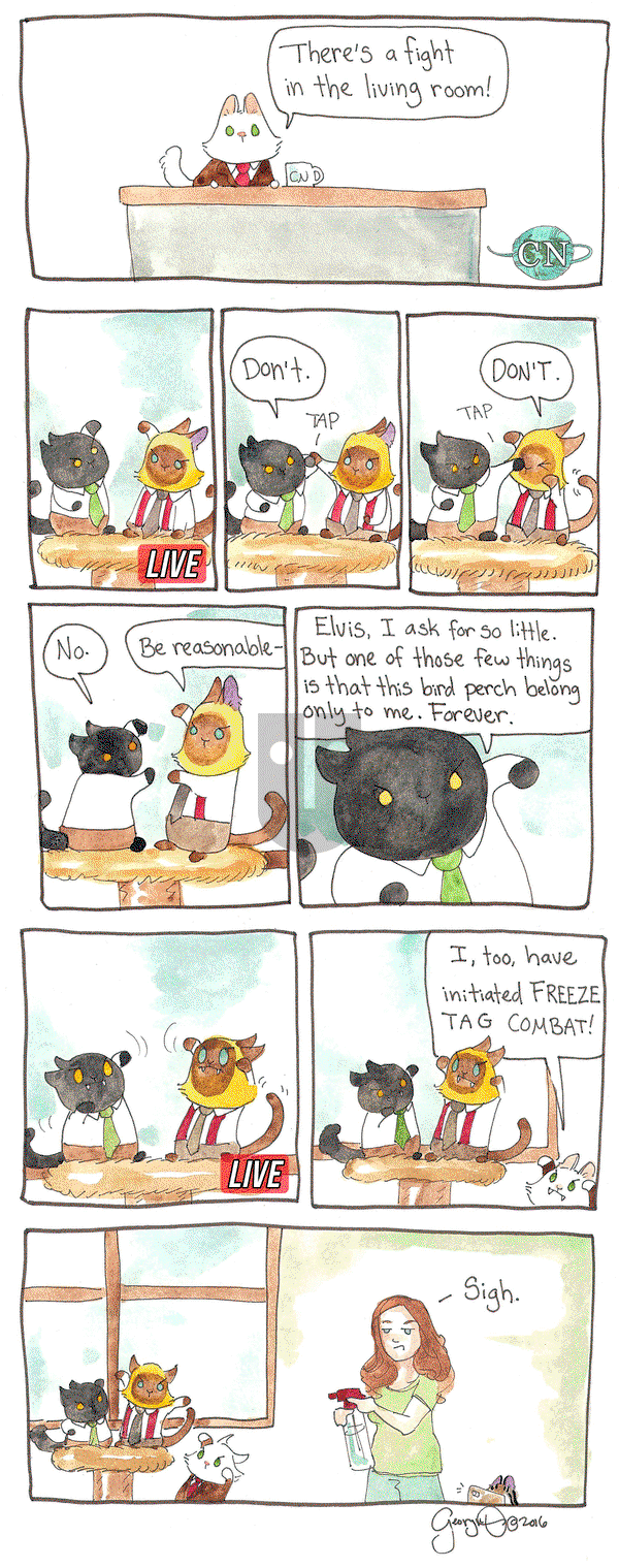Breaking Cat News on Tuesday March 7, 2017 Comic Strip